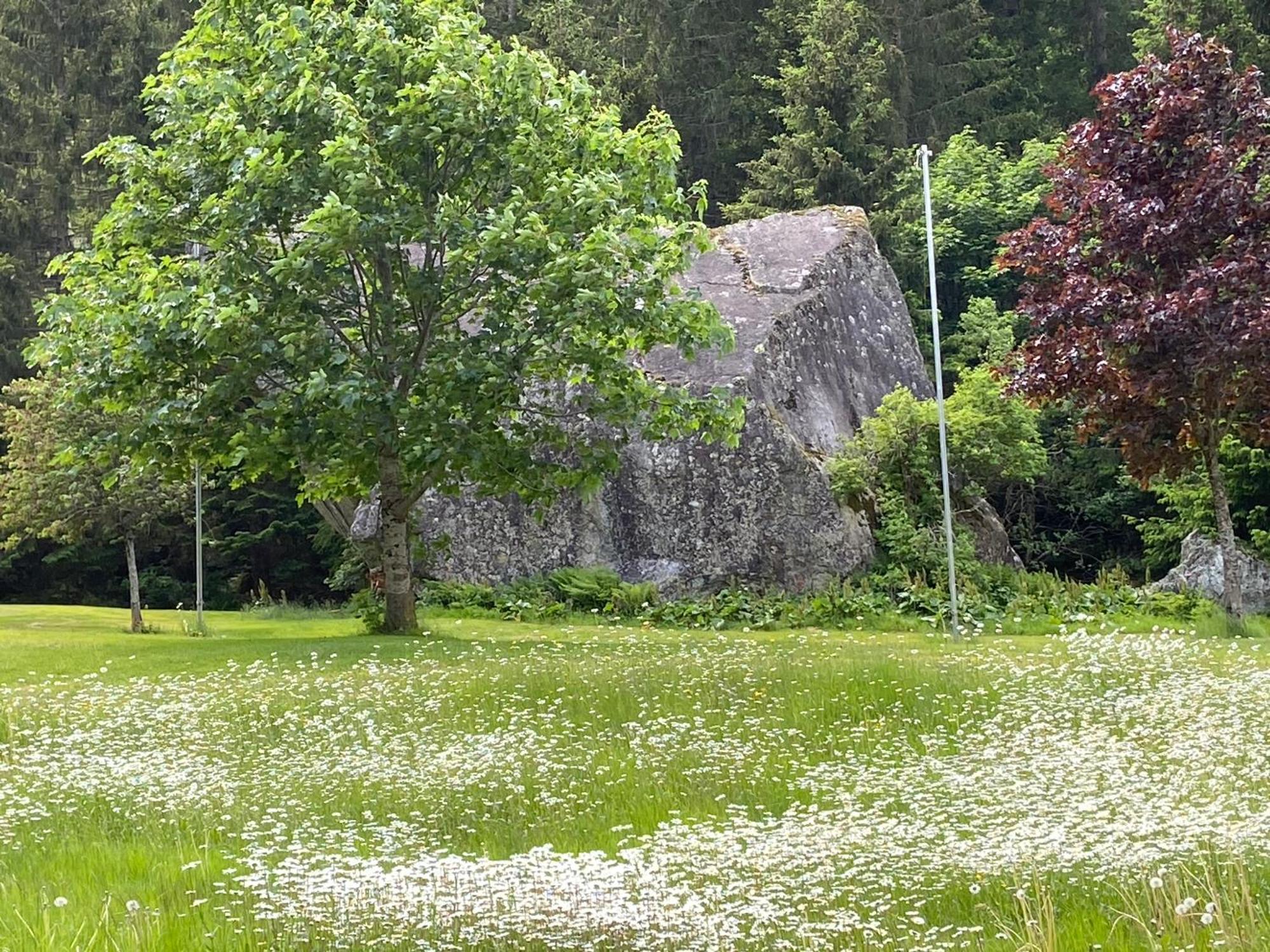 Haus Am Rain Panzió Partenen Kültér fotó